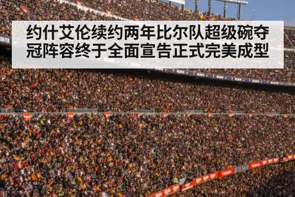 football stadium crowd
